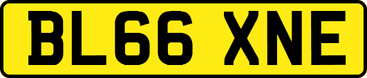 BL66XNE