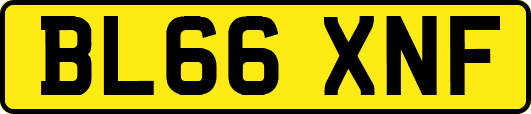 BL66XNF