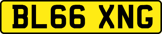 BL66XNG