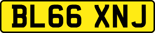BL66XNJ