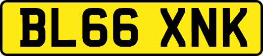 BL66XNK