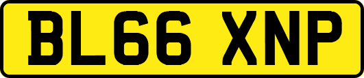 BL66XNP
