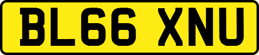 BL66XNU