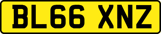 BL66XNZ