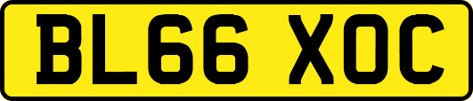 BL66XOC