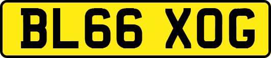 BL66XOG