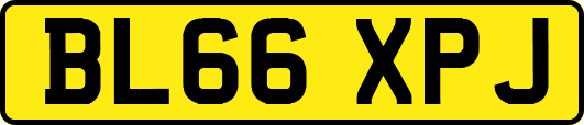 BL66XPJ
