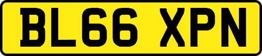 BL66XPN
