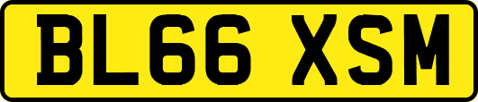 BL66XSM