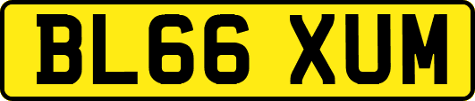 BL66XUM