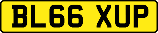 BL66XUP