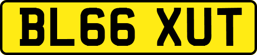 BL66XUT