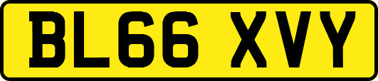 BL66XVY