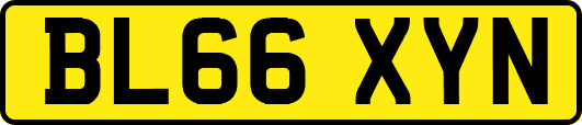 BL66XYN