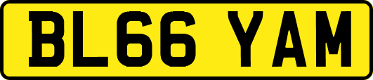 BL66YAM