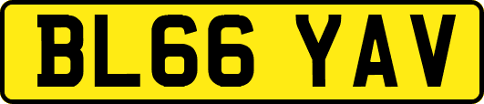 BL66YAV