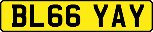 BL66YAY