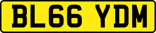 BL66YDM