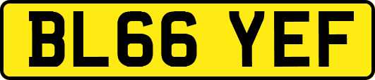 BL66YEF
