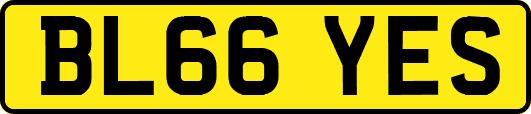 BL66YES