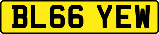 BL66YEW