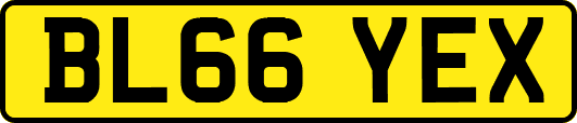 BL66YEX
