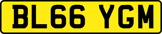 BL66YGM