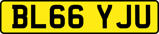 BL66YJU