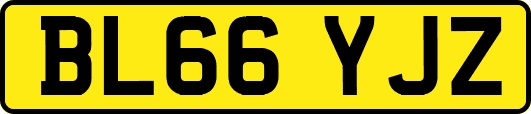 BL66YJZ