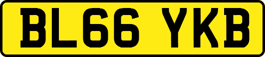 BL66YKB