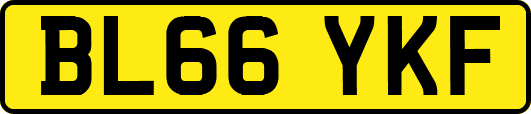 BL66YKF