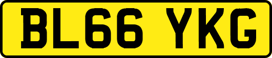 BL66YKG