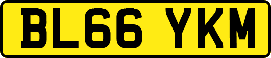 BL66YKM