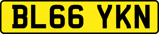 BL66YKN