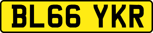 BL66YKR