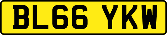 BL66YKW