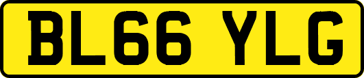 BL66YLG