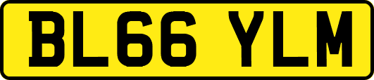 BL66YLM