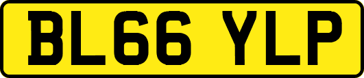 BL66YLP