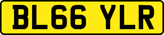 BL66YLR