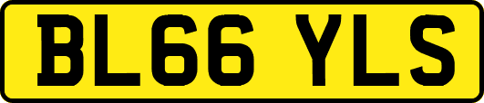 BL66YLS
