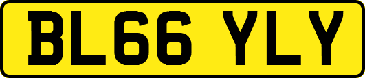 BL66YLY