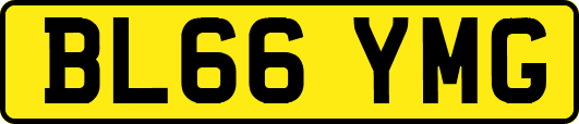 BL66YMG