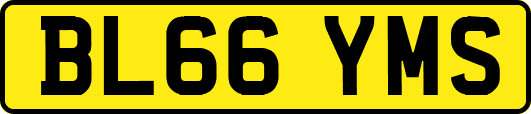 BL66YMS