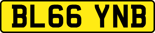 BL66YNB