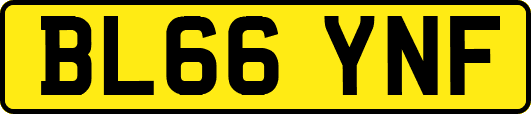 BL66YNF