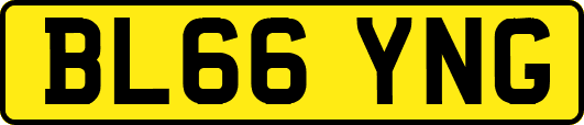 BL66YNG