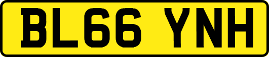 BL66YNH