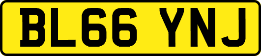 BL66YNJ