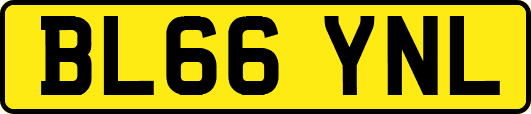 BL66YNL